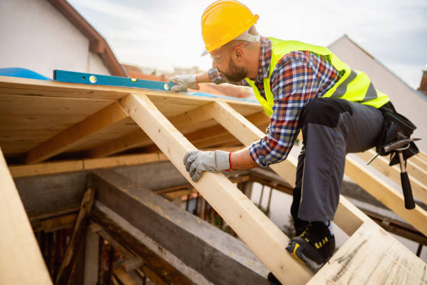 Best Roof Gutter Cleaning  in Trophy Clu, TX
